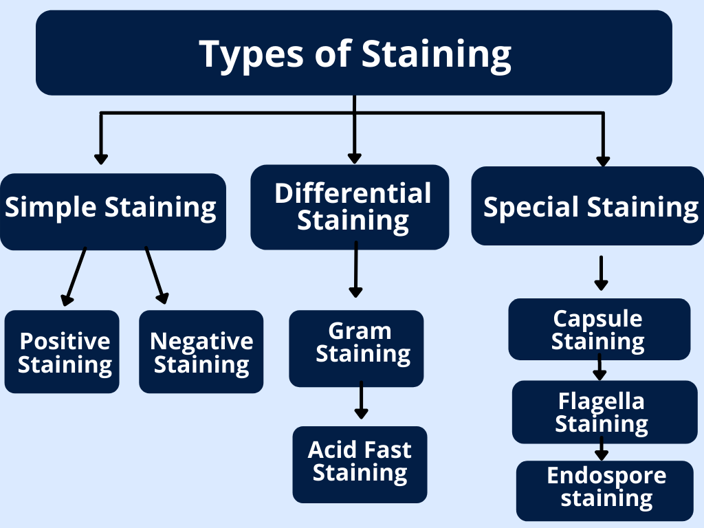 types of staining