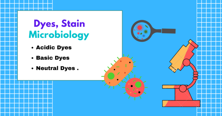 Different types of dyes and stains in microbiology - RBR Life Science