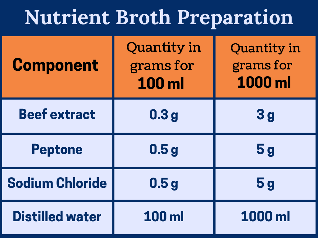 Nutrient Broth Preparation