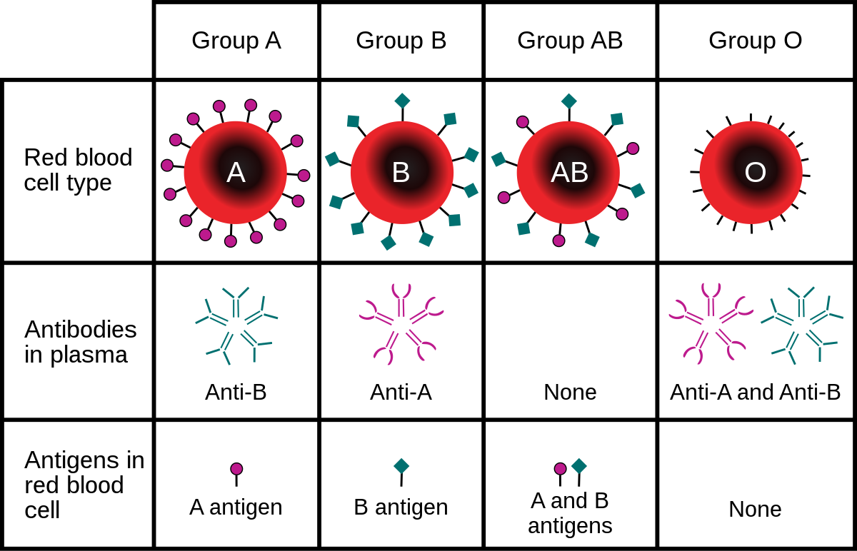 ABO_blood_Group