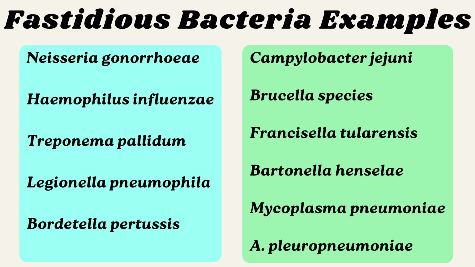 Fastidious Bacteria Examples - RBR Life Science