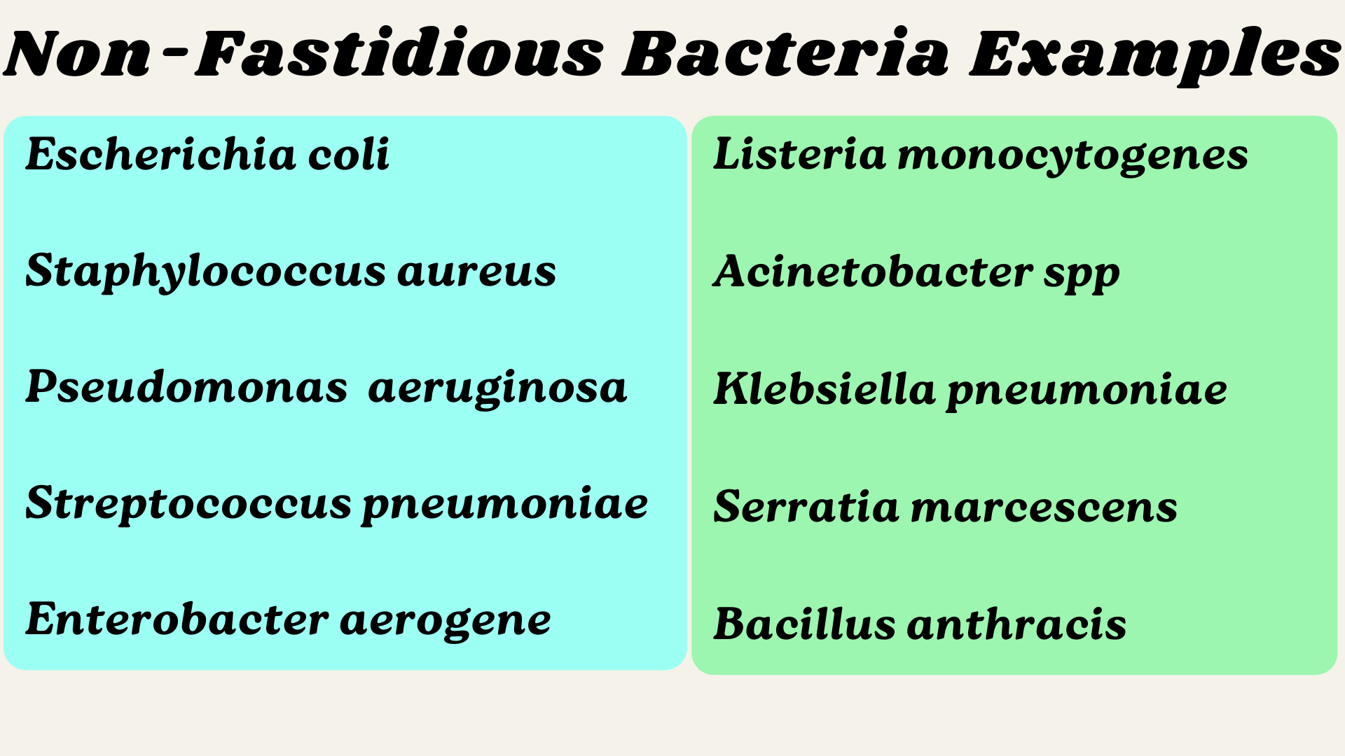 non-fastidious-bacteria-examples-rbr-life-science