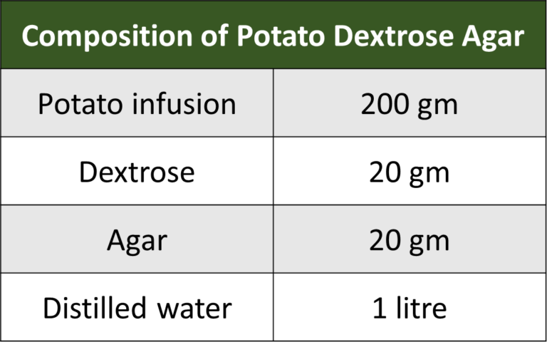 Potato Dextrose Agar (PDA) Media - RBR Life Science